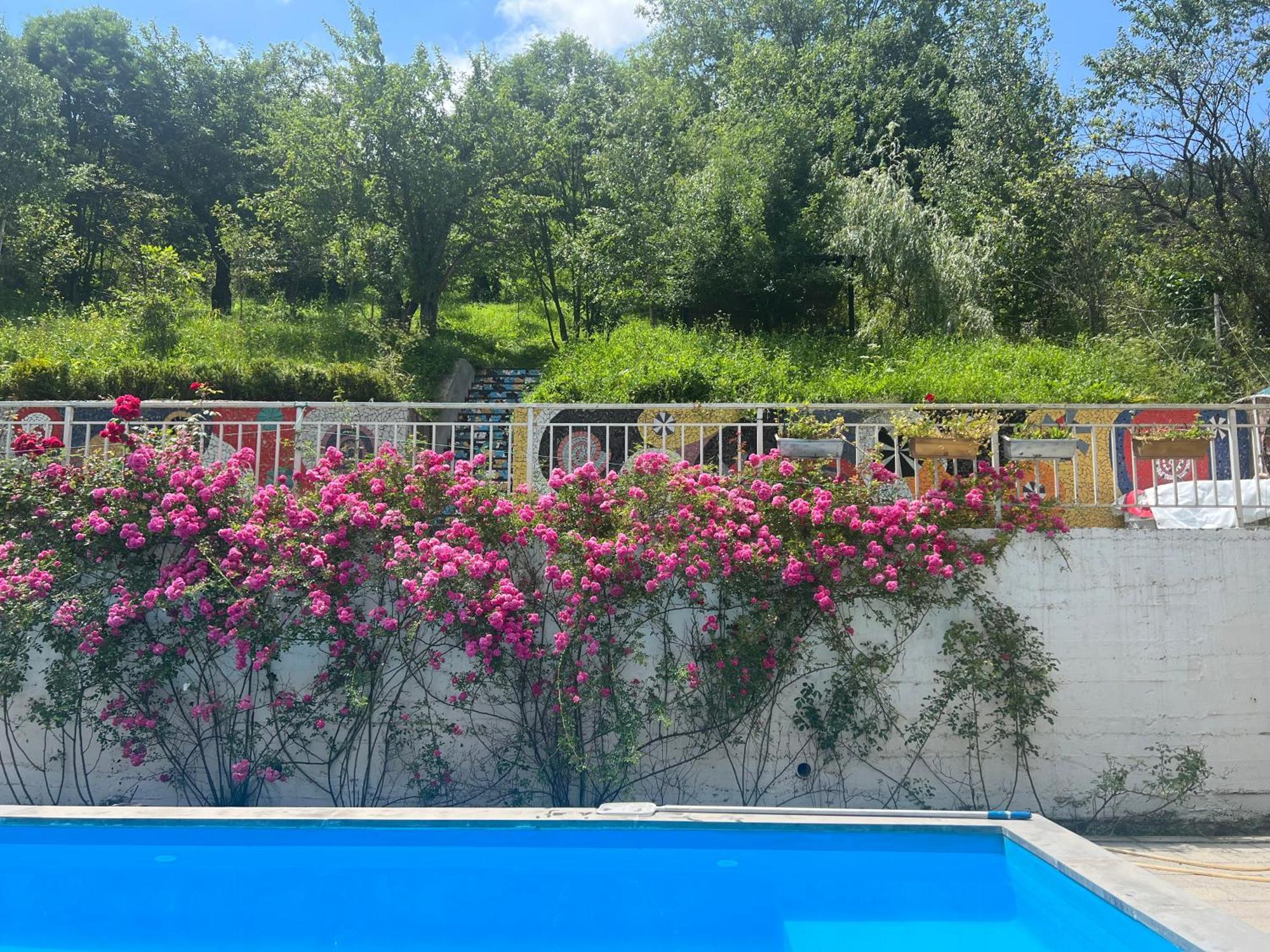 Dilijan Duplex别墅 外观 照片