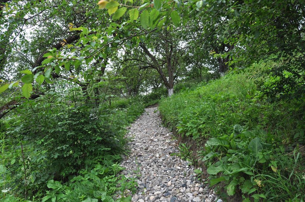 Dilijan Duplex别墅 外观 照片